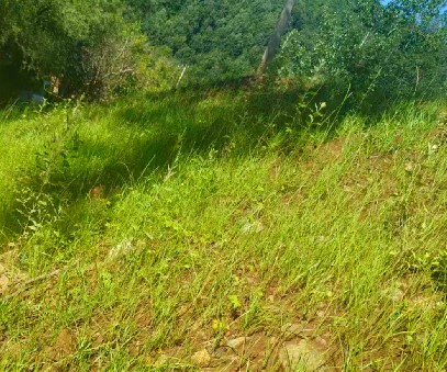 柳關(guān)欒盧鉛鋅礦|治理排土“瘡疤”，繪就綠色畫卷